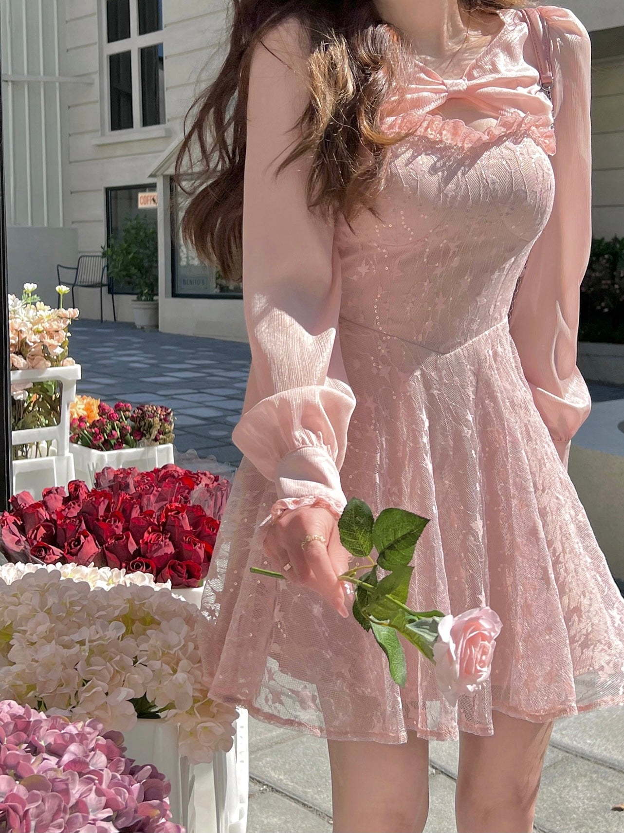 Sweet Sakura Mesh Dress set