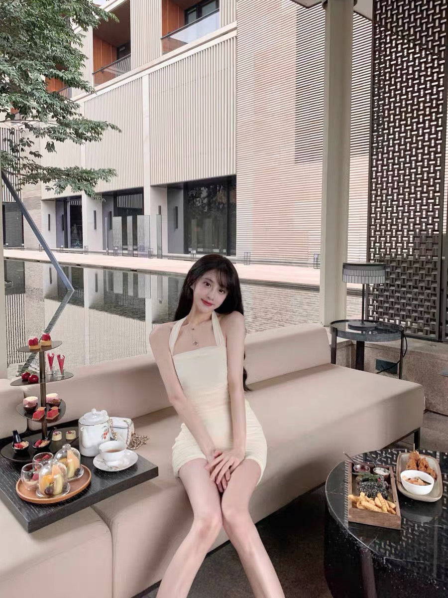 Mesh Chiffon Bodycon Dress