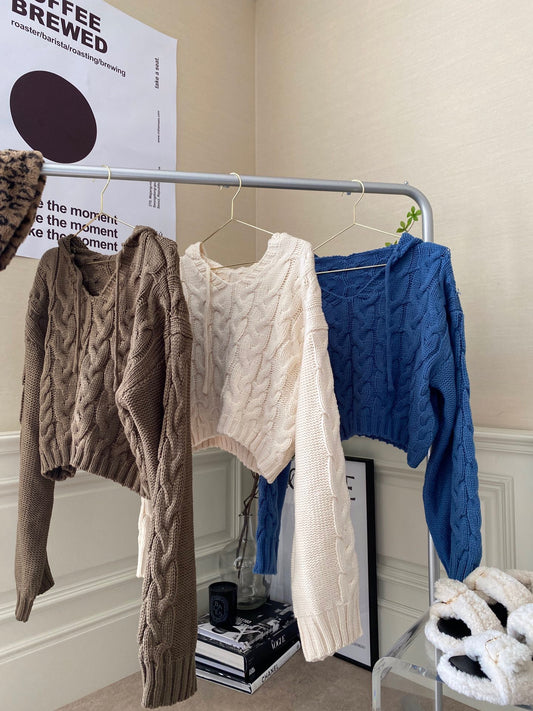 Cable Long Sleeves Short Sweater