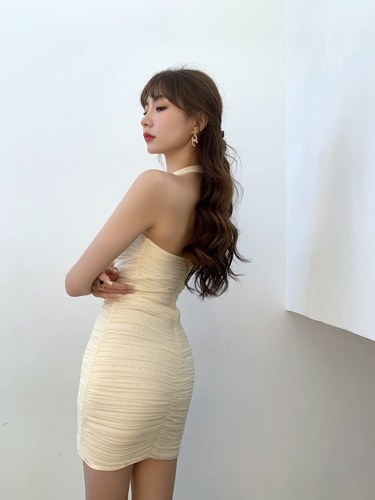 Mesh Chiffon Bodycon Dress